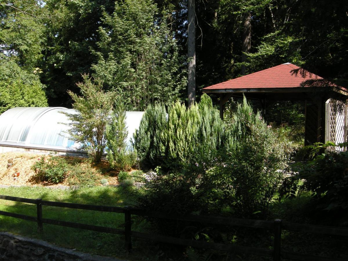 Villa Angelika Altenberg  Εξωτερικό φωτογραφία