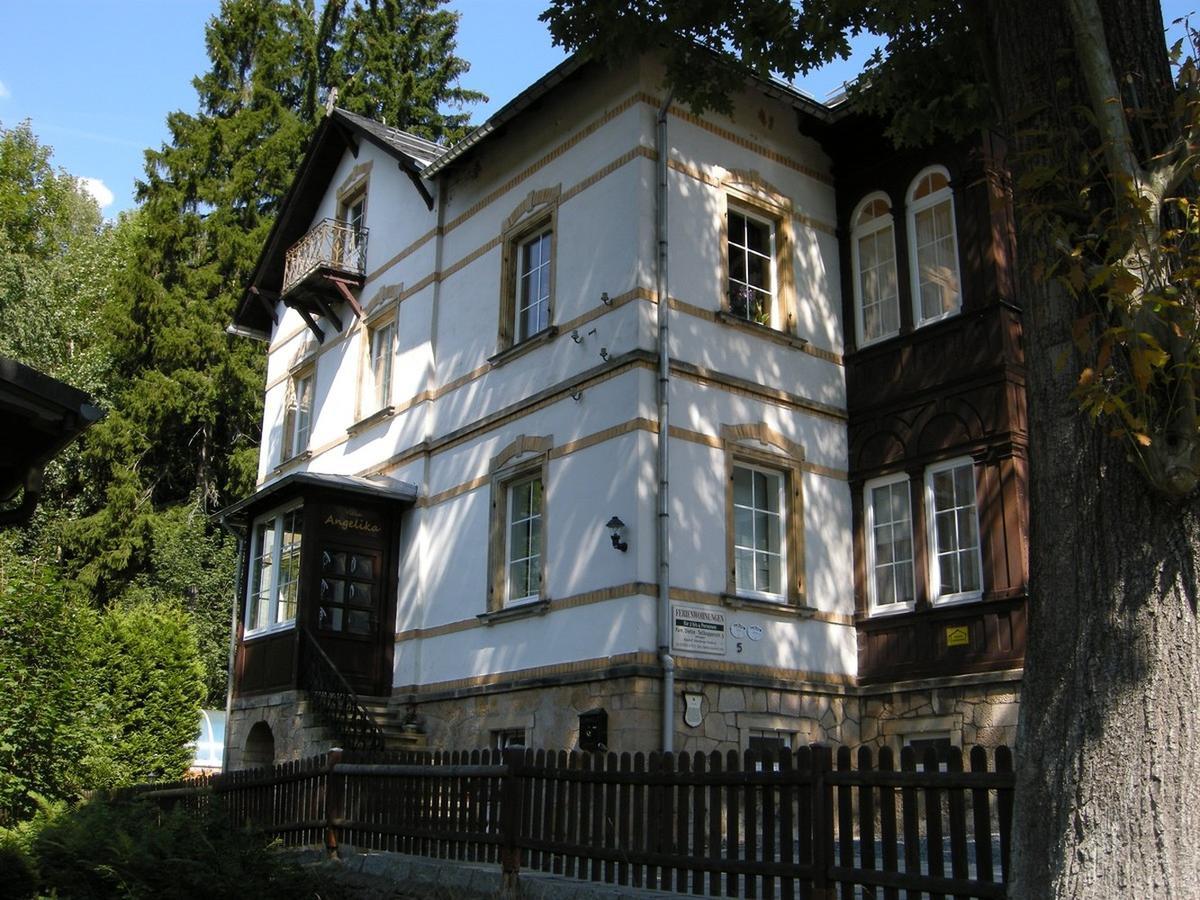 Villa Angelika Altenberg  Εξωτερικό φωτογραφία
